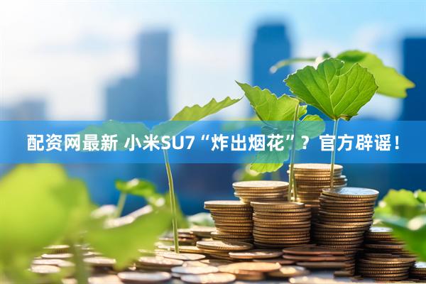 配资网最新 小米SU7“炸出烟花”？官方辟谣！